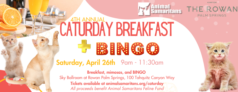 4th Annual Caturday Breakfast!
