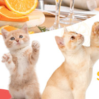 4th Annual Caturday Breakfast! - logo